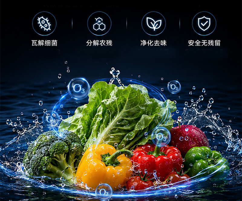 洗菜机